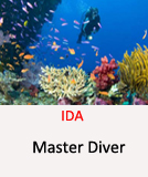 Tauchcenter-Wuppertal_Meeresauge-Scuba Diving-Tauchen_lernen-IDA-Master-Diver